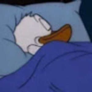 Meet your Posher, Lorelie